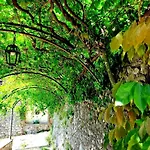 La Casa Dell'affinatore Gombitelli